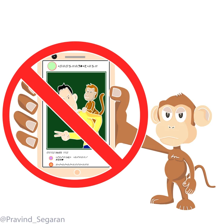 No Primate Selfies Image
